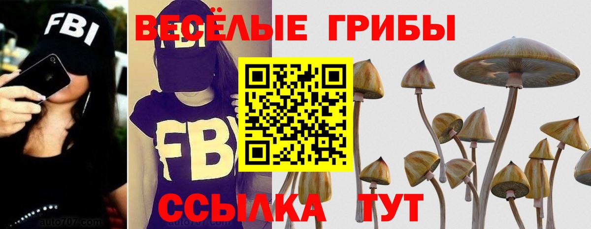 Псилоцибиновые грибы мицелий Красноперекопск