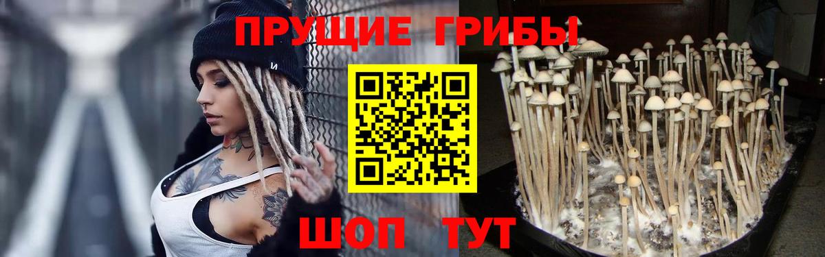 Галлюциногенные грибы GOLDEN TEACHER  Вход с VPN  Красноперекопск 